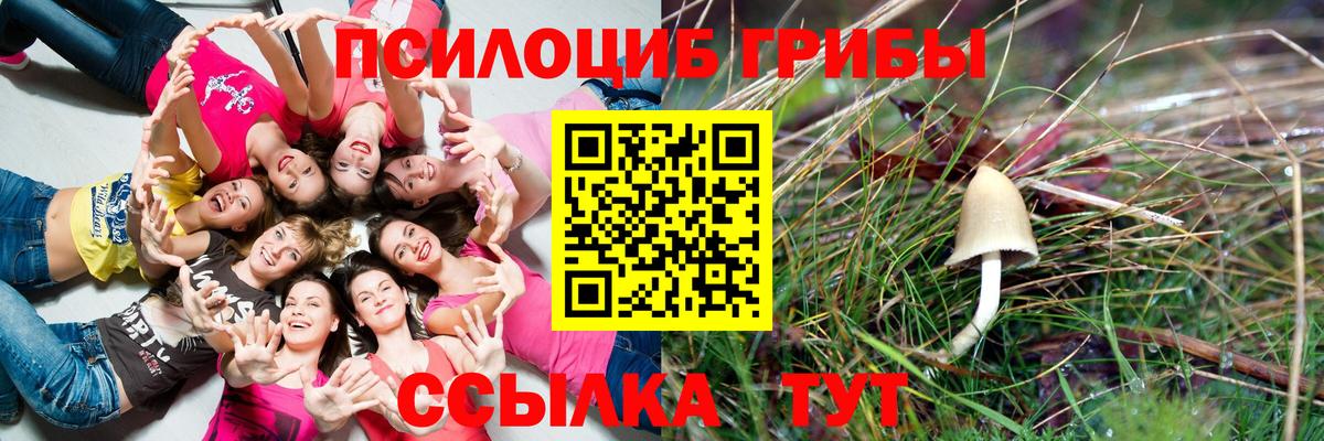 Alpha-PVP СК кристаллы  Гашиш  Березники  Меф МЯУ МЯУ   Канабис  Вход с VPN  ТГК 