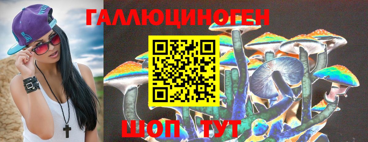 Галлюциногенные грибы Psilocybe Березники