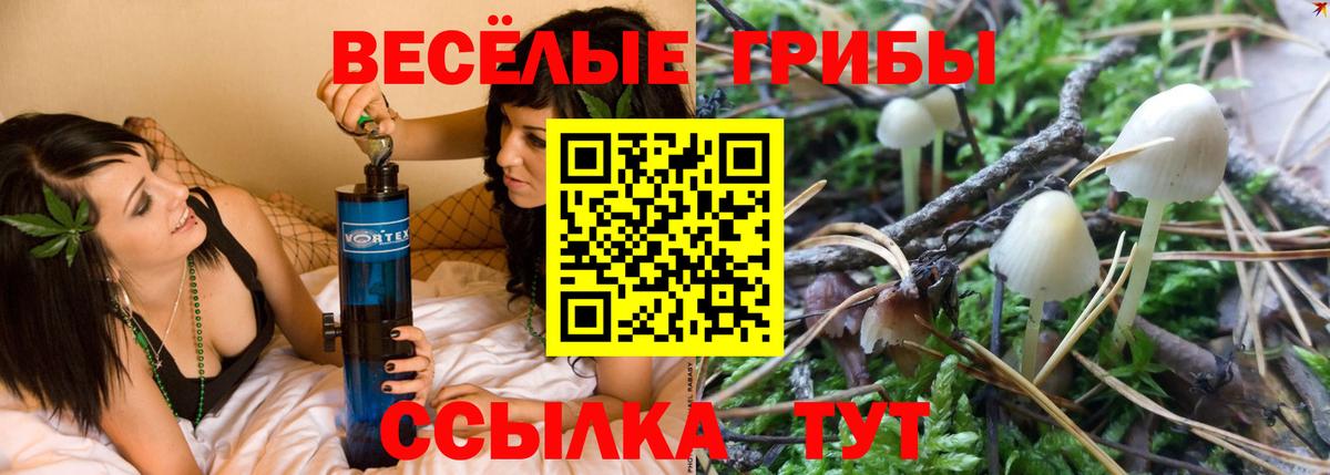 Березники  Псилоцибиновые грибы мухоморы  Вход с VPN  Псилоцибиновые грибы прущие грибы 